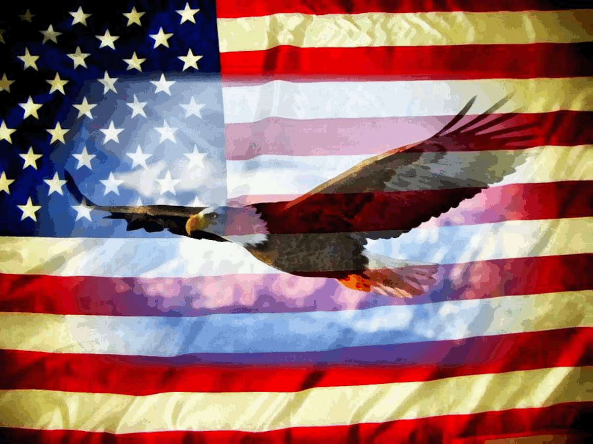 Rasenhof German Shepherds current litter of healthy German Shepherd puppies in Lakeside, CA