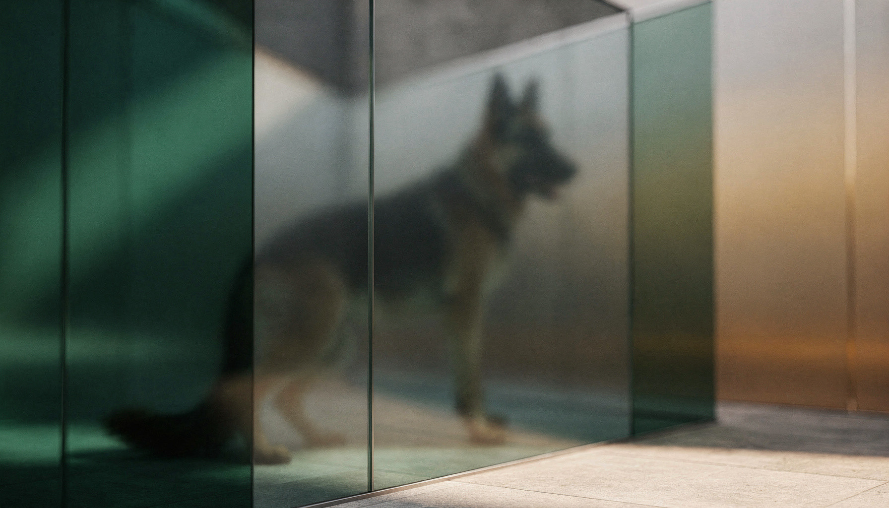 Rasenhof German Shepherds website preview